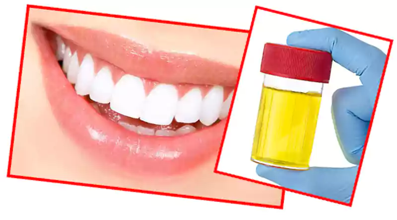 Clean teeth with urine