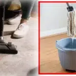 Keep the house clean regularly